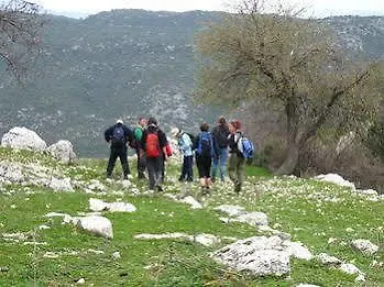 Hoyran Wedre Country Davazlar